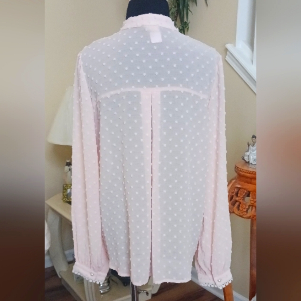 POL Swiss Dot Lace Accent Pale Pink Blouse NWOT  Small - Picture 2 of 13